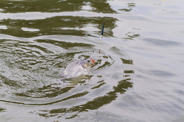 Fishing on a lake