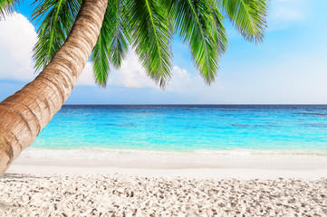 View of nice tropical beach.