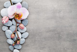 Fototapeta Storczyk - Spa orchid theme objects on grey background.