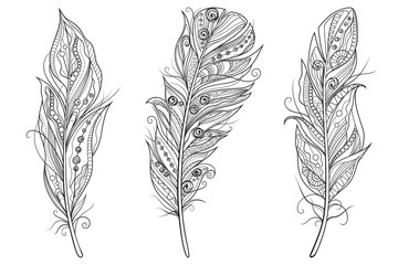 Wall Mural - Set of stylized outline feathers on white background. Highly detailed vector illustration doodling and zentangle style