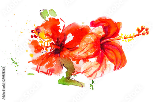 Beautiful red hibiscus flowers. Watercolor painting. Exotic plant. Floral pri...