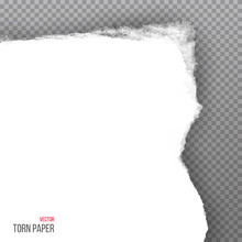 Realistic Torn White Corner Of Paper Isolated On Transparent Background. Vector Illustration.