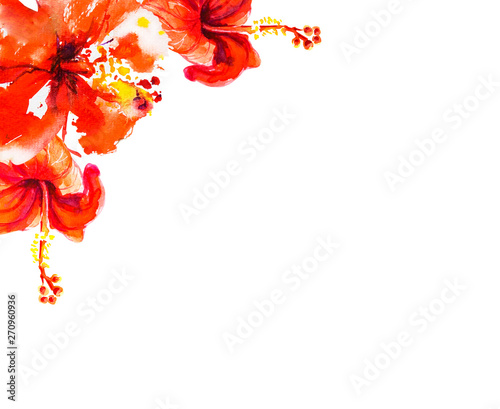 Red hibiscus flower corner frame. Watercolor painting. Exotic plant. Floral p...
