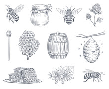 Bee Engraving. Honey Bees, Beekeeping Farm And Honeyed Honeycomb Vintage Hand Drawn Vector Illustration Set