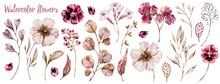 Floral Elements Collection, Watercolor Flower Set