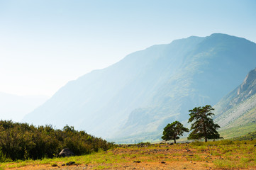 Summer landscape in Altai mountains, Siberia, Russia.