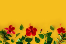 Set Of Tropical Plants And Bright Large Flower Of Red Hibiscus Buds Of Red Hibiscus Isolated And Leaves On Yellow Backgroun. Concept Postcard Red Flower Hibiscus. Summer