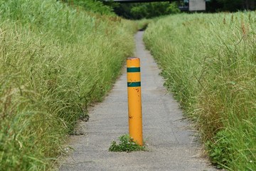 Sticker - A narrow road in the country.