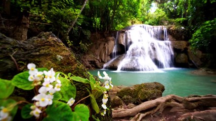 Wall Mural - Locked down, rack focus, Waterfall flow standing with forest enviroment and Angel Wing Begonia flower in thailand, called Huay or Huai mae khamin in Kanchanaburi province, Lockdown.