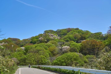 Wall Mural - 新潟県　粟島