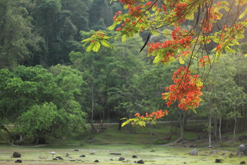 autumn in the park