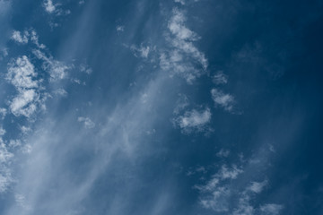 Wall Mural - blue sky with clouds and birds