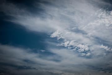 Wall Mural - blue sky with clouds and birds