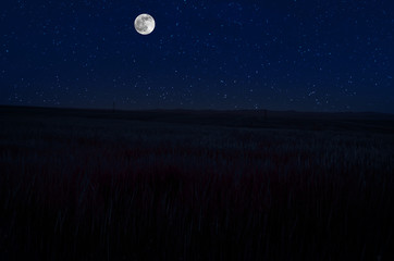 Wall Mural - mountain road through the forest on a full moon night. scenic night landscape of country road at nig