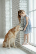 © nuzza11 - A child with an animal. Little girl with a dog at home.