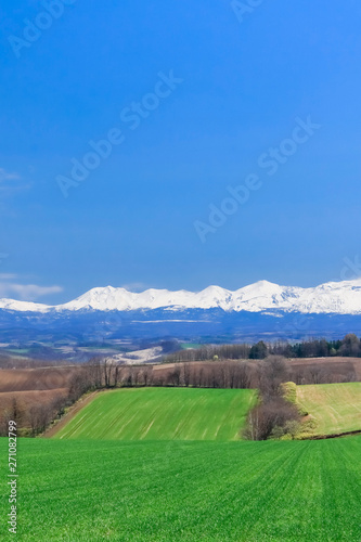 北海道美瑛青空と草原背景イメージ Buy This Stock Photo And Explore Similar Images At Adobe Stock Adobe Stock 北海道美瑛青空と草原背景イメージ Buy This Stock Photo And Explore Similar Images At Adobe Stock Adobe Stock