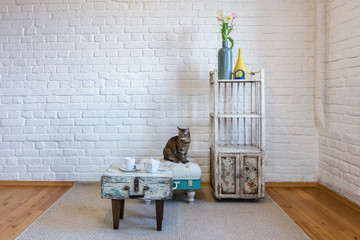 table, chairs, shelves on the background of a white brick wall in vintage loft interior with cat