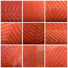 set of fresh salmon slices background