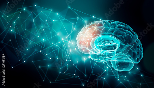 Fotomural Human brain activity with plexus lines