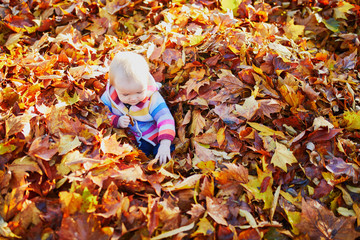 girl sitting in large heap of colorful autumn leaves on a fall day in park