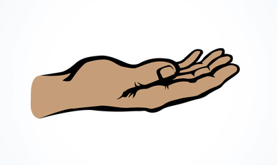 Wall Mural - Praying hands. Vector drawing