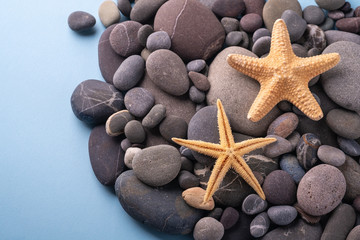 Two starfish on pebbles summer texture top view close up blue background