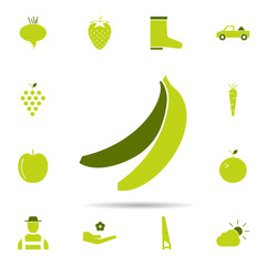 Poster - banana, garden icon. Universal set of agriculture gardening for website design and development, app development