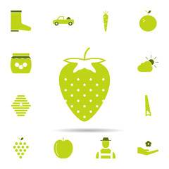 Poster - berry, strawberry icon. Universal set of agriculture gardening for website design and development, app development