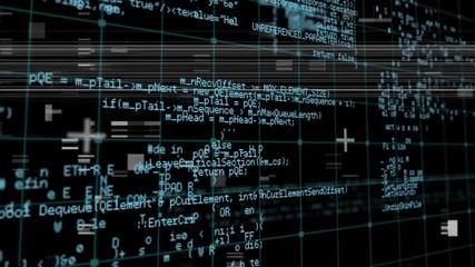 Poster - Program codes and glitches