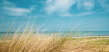 A Panorama Picture Of The Beach Of The Baltic Sea In Summer With Dune Grass In The Foreground And Blue Sea Water In The Background And Blue Sky In The Background