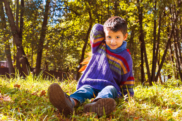 Wall Mural - boy in the fall.