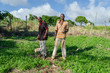 Farmers In Carrot Garden In jamaica