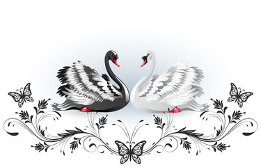 Wall Mural - Decorative card with black and white swans and vintage ornament for invitations or congratulations with wedding or engagement