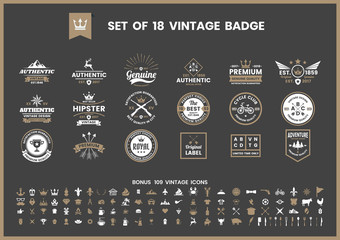 Wall Mural - vintage retro vector for banner
