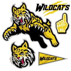 athletic sport mascot style of wildcats in set