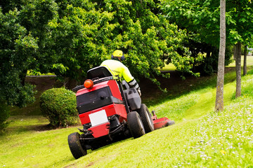 gardener with lawn mower vehicle cutting green grass on city garden