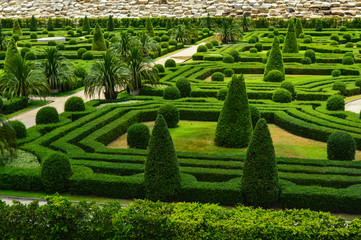 maze in the garden