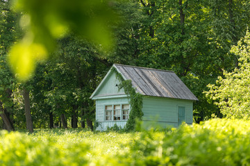 A small house on the edge of the forest. Summer landscape with a small rural blue house.