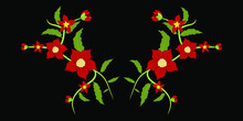 Beautiful Floral Aranjament Print Vector Design Illustration Isolated On Black Background