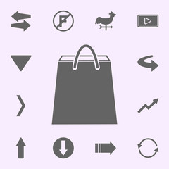 Poster - packaged bag icon. web icons universal set for web and mobile