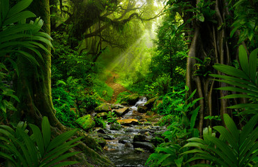 southeast asian rainforest with deep jungle