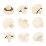 Fototapeta Pokój dzieciecy - Cartoon vector icon illustration of mushroom champignon isolated on white