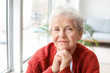 © Pixel-Shot - Portrait of senior woman at home