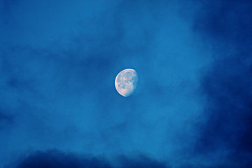 moonlight