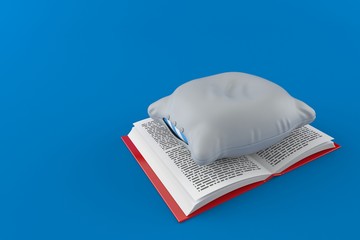 Wall Mural - Pillow on open book