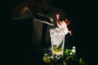 Professional bartender making Mojito cocktail