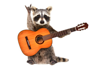 Wall Mural - funny raccoon with acoustic guitar, showing a rock gesture, isolated on white background