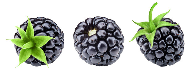 ripe blackberry collection isolated on white background