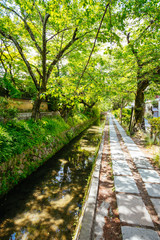 Canvas Print - Philosopher's Walk in Kyoto Japan