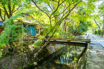 Canvas Print - Philosopher's Walk in Kyoto Japan